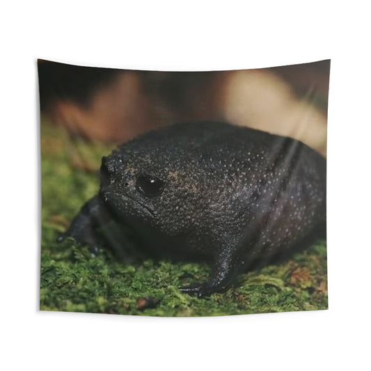 Black Rain Frog Tapestry β Cute Amphibian Wall Art for Nature Lovers