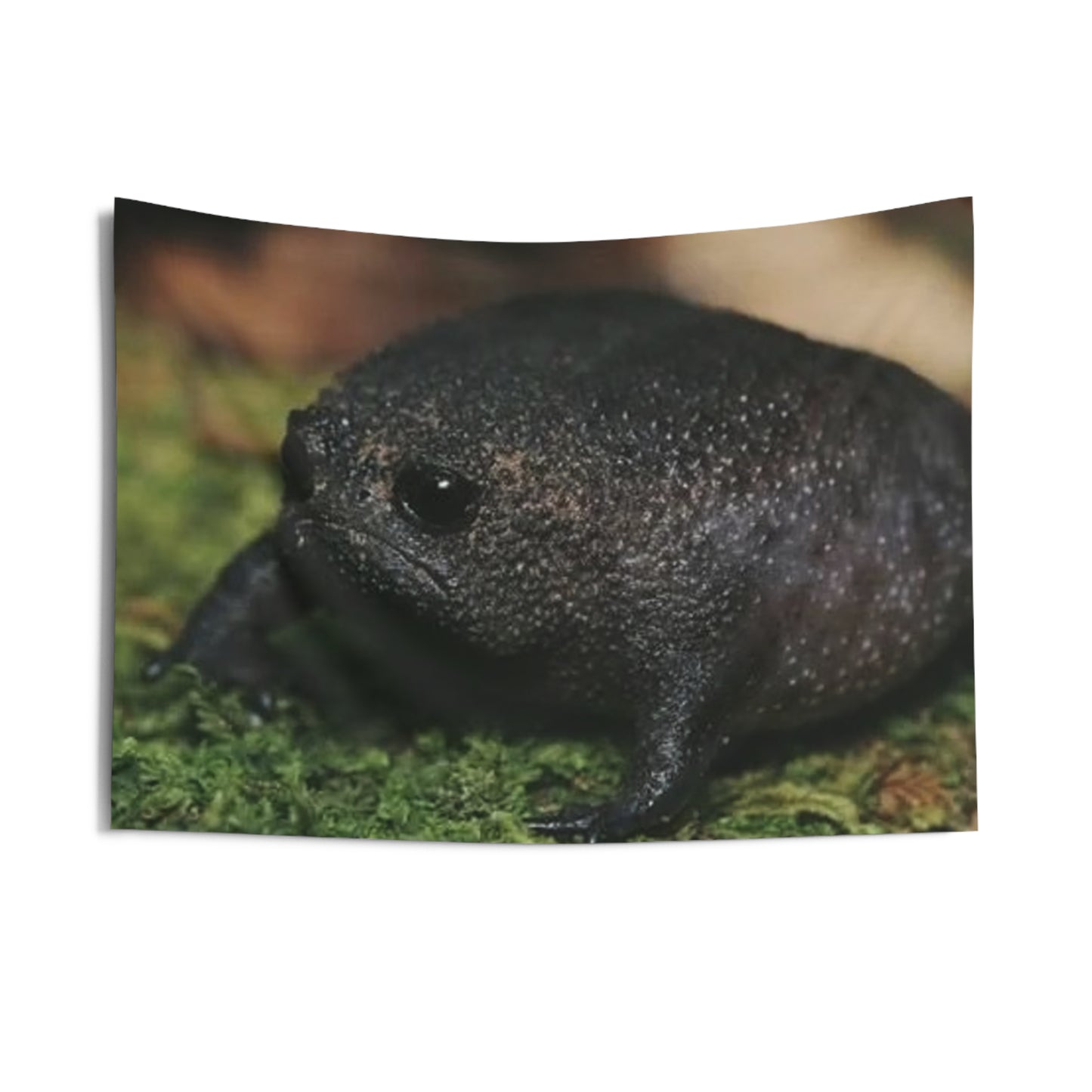 Black Rain Frog Tapestry — Cute Amphibian Wall Art for Nature Lovers