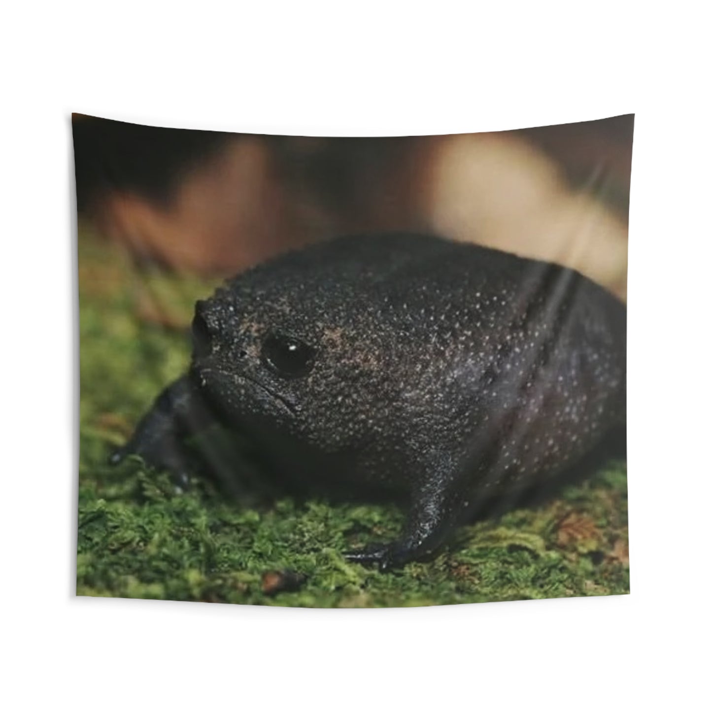 Black Rain Frog Tapestry — Cute Amphibian Wall Art for Nature Lovers