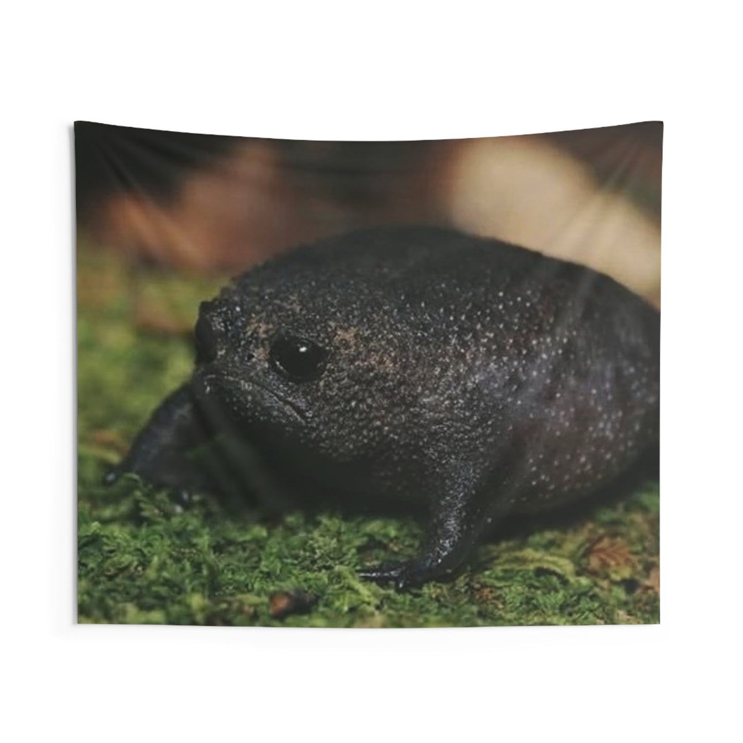 Black Rain Frog Tapestry — Cute Amphibian Wall Art for Nature Lovers