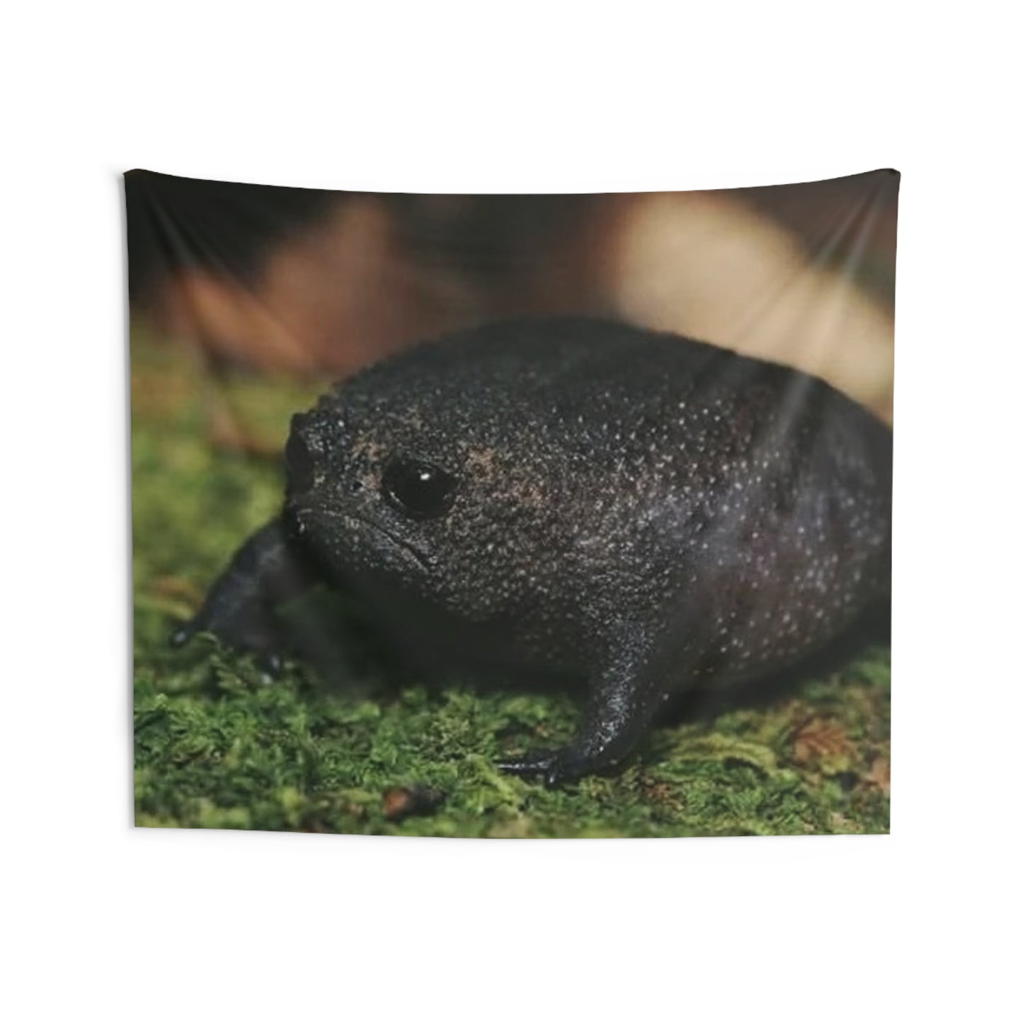 Black Rain Frog Tapestry — Cute Amphibian Wall Art for Nature Lovers